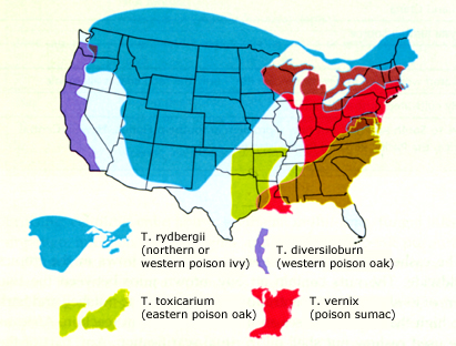 range of poison oak, poison ivy, and poison sumac