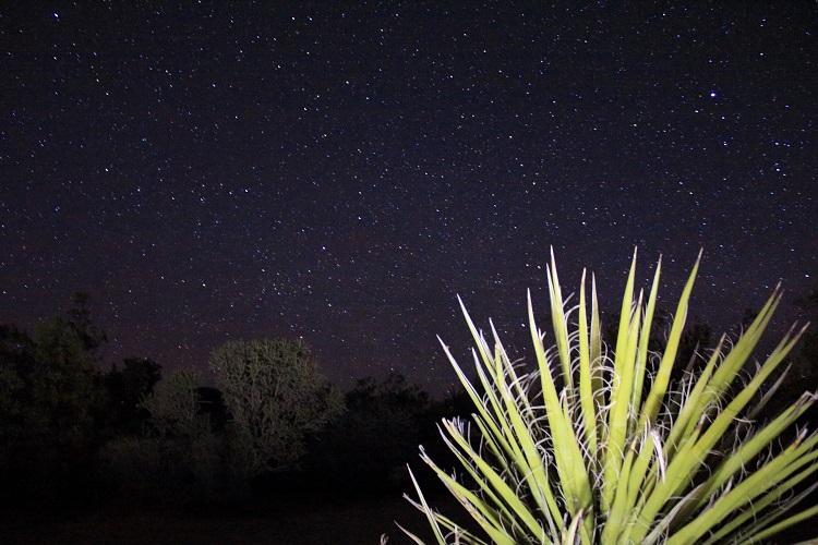 Joshua Tree National Park, Astrophotography, day trip, day guide, points of interest, hiking