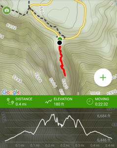 Moro Rock Hiking Trail