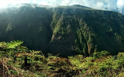 The White Road Hike – Kamuela, Hawaii