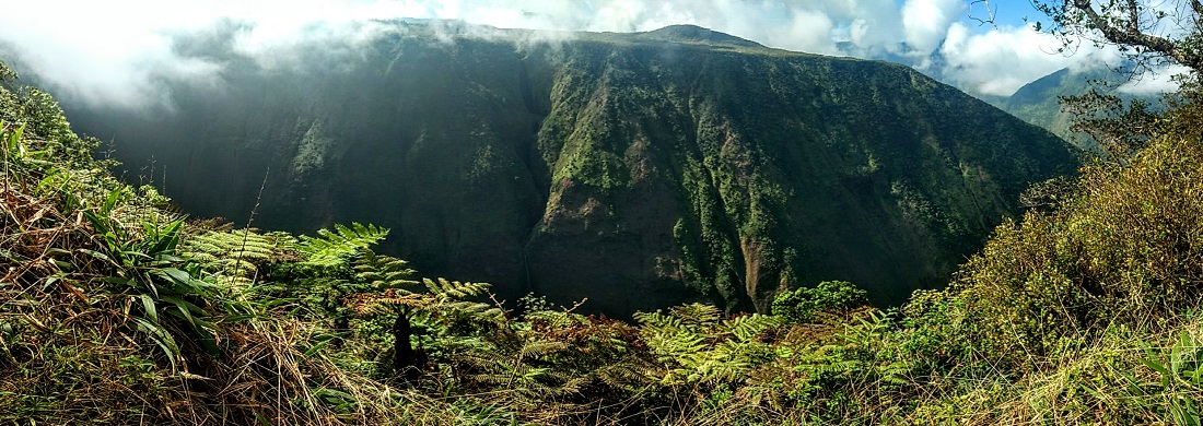 The White Road Hike – Kamuela, Hawaii