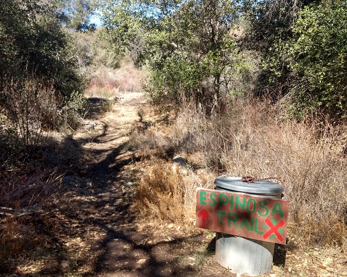 Corte Madera Peak Hiking Trail Guide The Simple Hiker