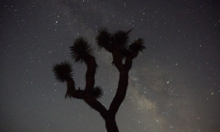 Joshua Tree National Park:  First Time Camping