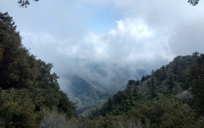 Hiking Mount Wilson Peak via Chantry Flat Trail