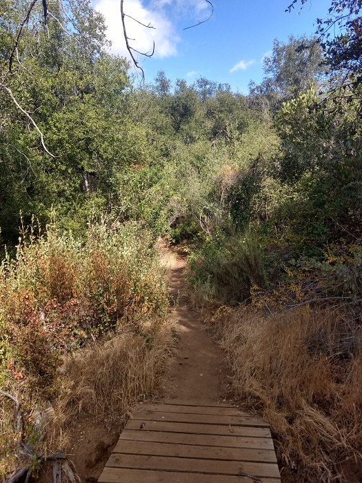 South Clevenger Canyon Trail