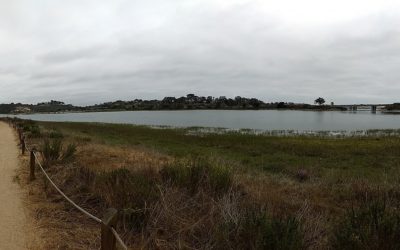 Batiquitos Lagoon Trail