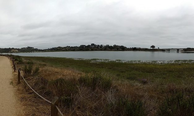 Batiquitos Lagoon Trail
