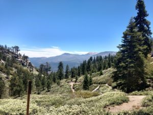 Pine Knot Trail to Grand View Point, Big Bear,San Gorgonio Mountain, San Bernardino National Forest