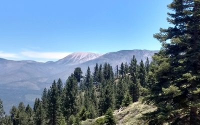 Pine Knot Trail to Grand View Point