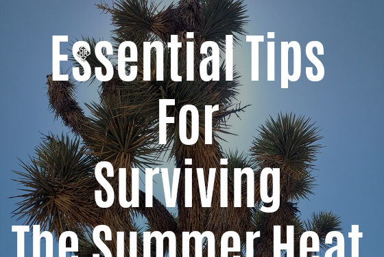 Ten Essential Hiking Tips To Survive The Summer Heat