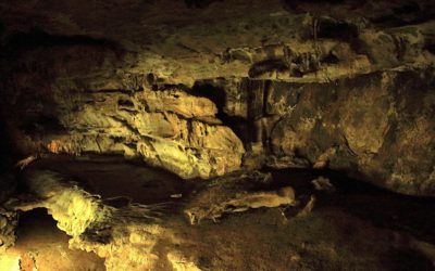 Crystal Cave Trail Guide