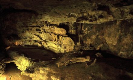 Crystal Cave Trail Guide