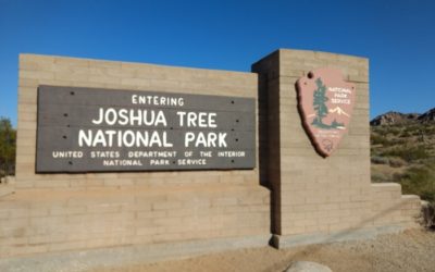 A Visitor’s Day Guide To Joshua Tree National Park