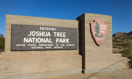 A Visitor’s Day Guide To Joshua Tree National Park