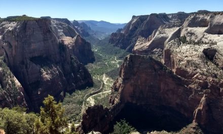 Observation Point Trail Guide In Zion National Park