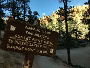 Navajo Loop and Queens Garden Trail