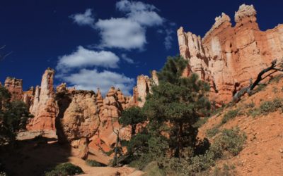 Hiking Navajo Loop and Queen’s Garden Trail