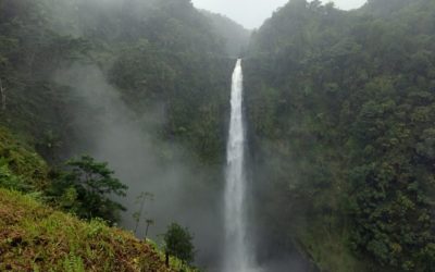 A Complete Hiking Guide To Akaka Falls State Park