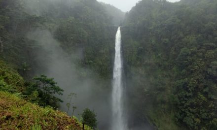 A Complete Hiking Guide To Akaka Falls State Park