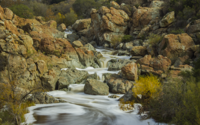 Hiking Los Penasquitos Canyon Preserve Trail Guide