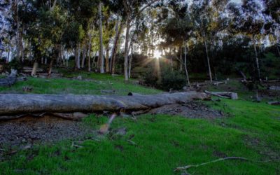 Hosp Grove Park Hiking Trails