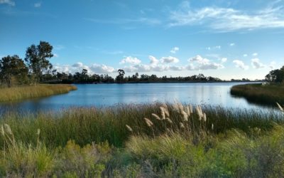 Lake Miramar Hiking Trail Guide