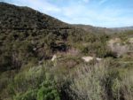 San Diego, Valley Center, Hiking, Trail Guides, Hellhole Canyon County Preserve