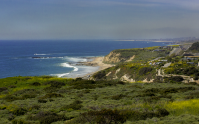 Crystal Cove State Park Trail Guide