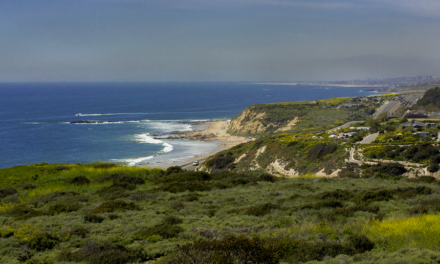 Crystal Cove State Park Trail Guide