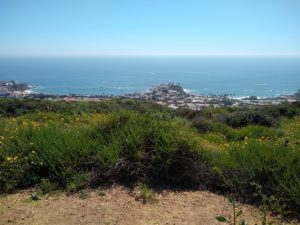 Crystal Cove State Park Hiking Trail Guide