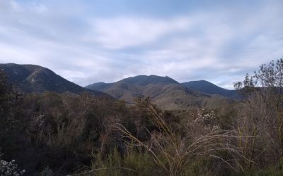 Sitton Peak Loop Trail and Bear Ridge