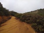 Sitton Peak, Hiking Trail Guide, Cleveland National Forest, San Mateo Canyon Wilderness