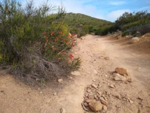 South Fortuna, Hiking, Trail Guides, San Diego