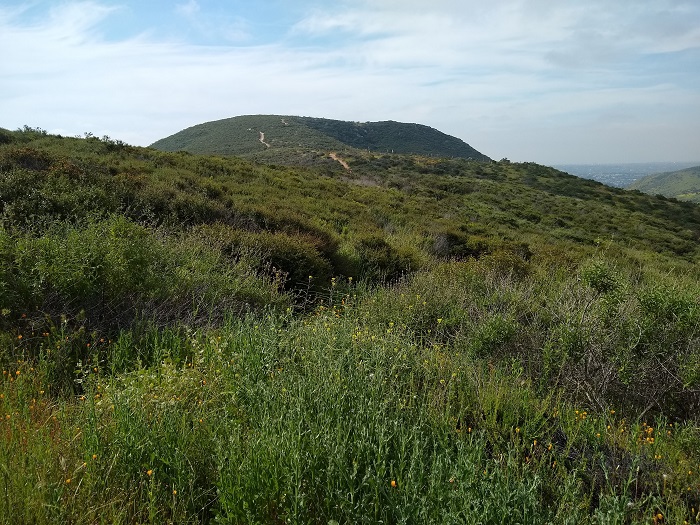 South Fortuna Peak
