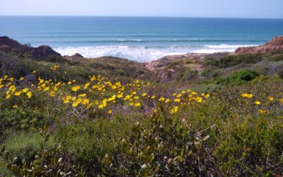 Five Top Summer San Diego Hikes