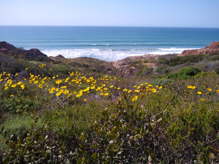 Five Top Summer San Diego Hikes