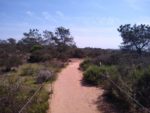 Torrey Pines Hiking Trail Guide, San Diego,