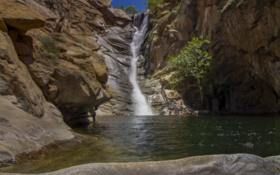 Cedar Creek Falls (Devil’s Punchbowl)