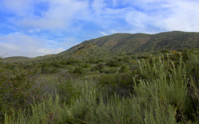 A Complete Guide To The Mission Trails Regional Park Five Peak Challenge