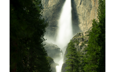 Lower Yosemite Falls Trail