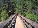 McArthur-Burney Falls Hiking Trail Guide