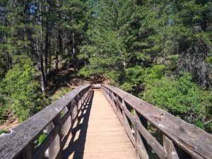 McArthur-Burney Falls Hiking Trail Guide
