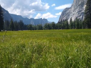 Yosemite Valley Loop Trail