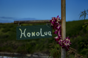 Honolua Bay Hiking Trail Guide