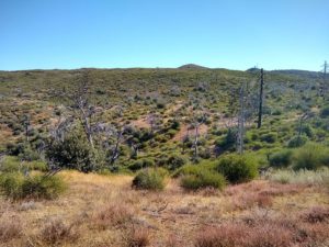 Foster Point Hiking Trail Guide