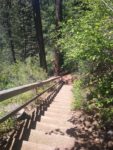 McCloud Falls Hiking Trail Guide
