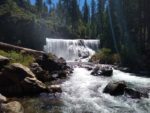 McCloud Falls Hiking Trail Guide