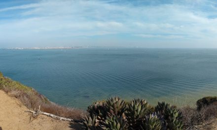 Bayside Trail – Cabrillo National Monument