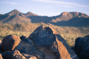 Signal Hill Hiking Trail Guide, Saguaro National Park