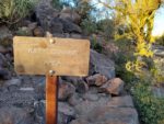 Signal Hill Hiking Trail Guide, Saguaro National Park